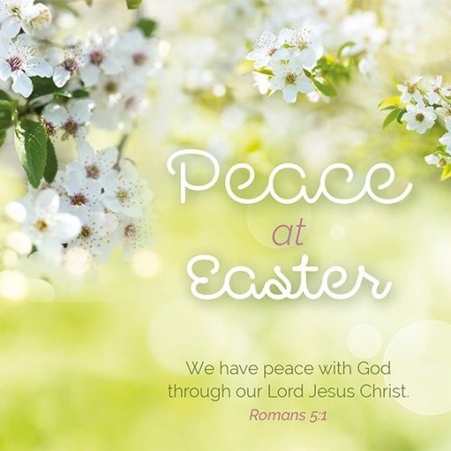 Mini Easter Cards - Peace At Easter (Pack Of 5)