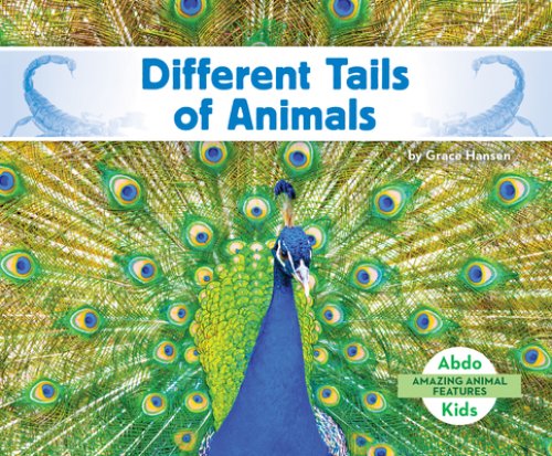 Different Tails Of Animals
