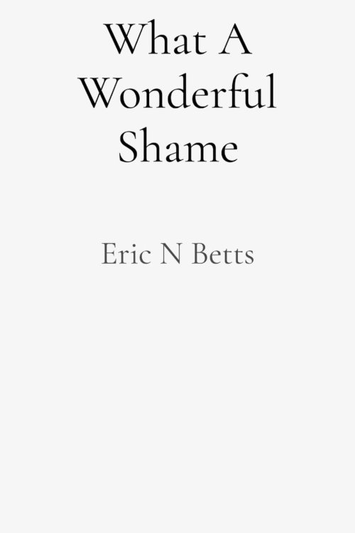 What A Wonderful Shame