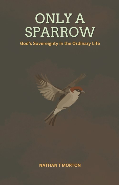 Only A Sparrow: God's Sovereignty in the Ordinary Life