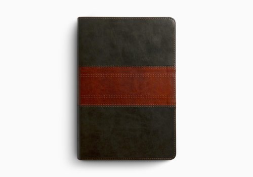 ESV Giant Print Personal Size Bible (TruTone, Forest/Tan, Trail Design)