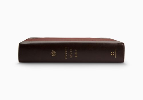 ESV Student Study Bible (TruTone, Brown/Cordovan, Portfolio Design)