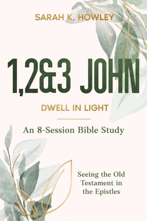 1,2&3 John: Dwell in Light
