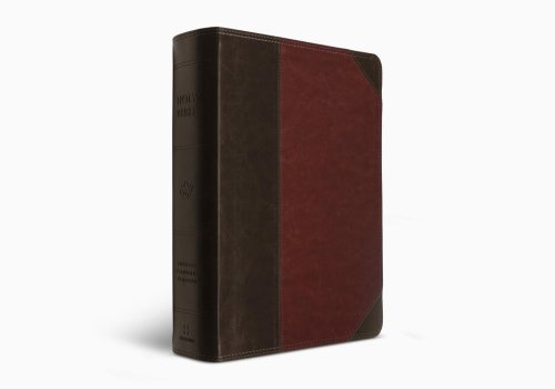 ESV Super Giant Print Bible