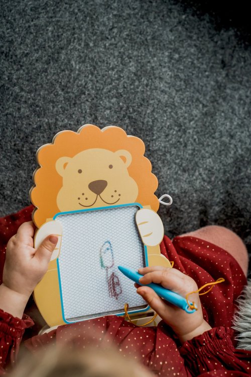 Lion Sketch Board (FSC®)