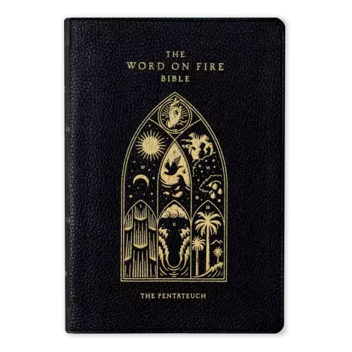 The Word on Fire Bible: The Pentateuch Volume 3