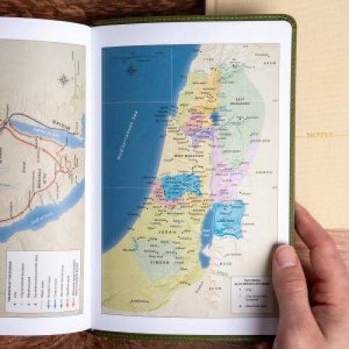NASB Giant Print Reference Bible, Olive, Indexed