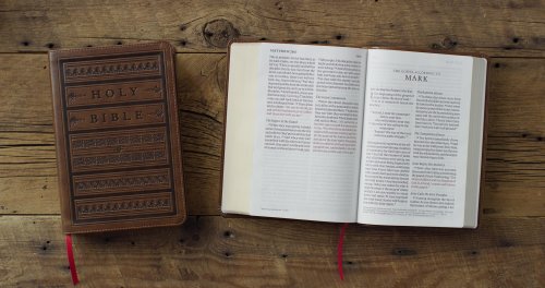 ESV Giant Print Personal Size Bible, Red Letter (TruTone, Brown, Engraved Mantel Design)