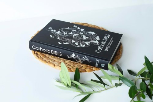 ESV-CE Catholic Bible, Black, Hardback, Anglicized Standard Edition, Maps