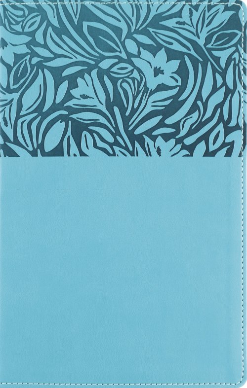 NASB, Personal Size Reference Bible, Large Print, Paragraph Style ...