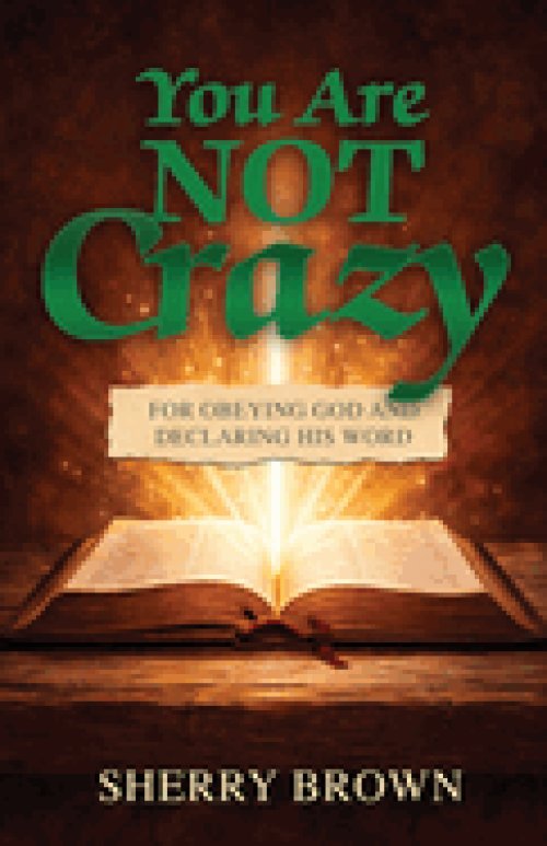 You Are Not Crazy: For Obeying God and Declaring His Word