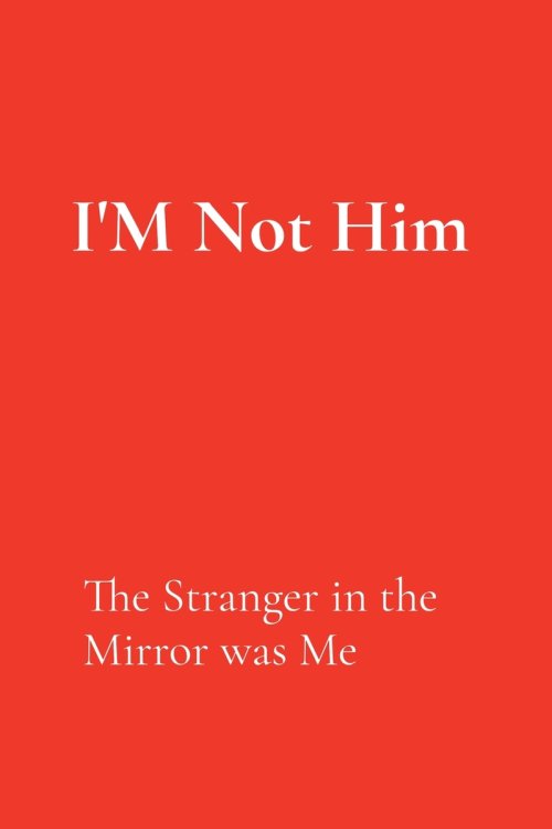 I'M Not Him: The Stranger in the Mirror was Me