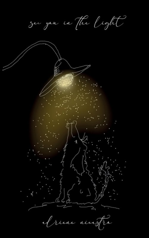 see you in the light