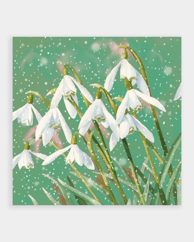 10 Snowdrops Christmas Cards
