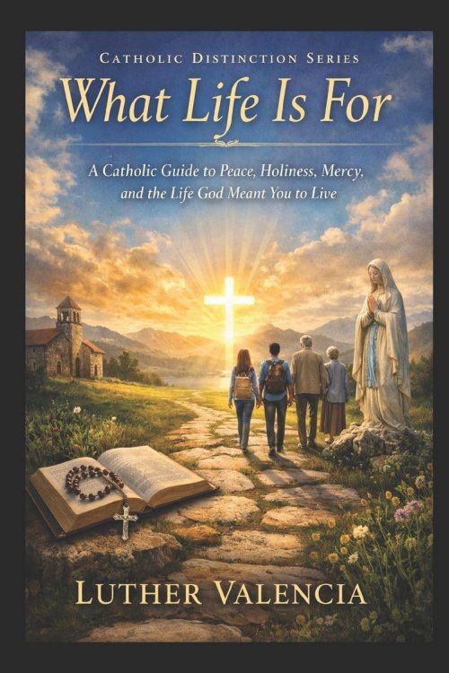 What Life Is For: A Catholic Guide to Peace, Holiness, Mercy, and the Life God Meant You to Live