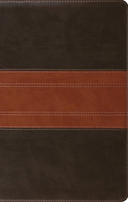 ESV Large Print Personal Size Bible, Red Letter, Indexed (TruTone, Forest/Tan, Trail Design)