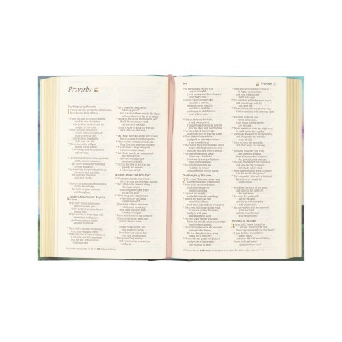 NLT Compact Bible: Prairie Theme