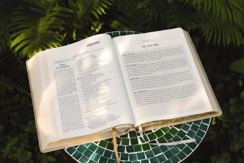 The Jesus Bible, ESV Edition, Leathersoft, Stone