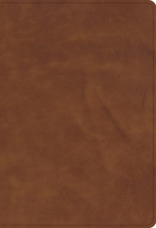 CSB Thinline Bible, Optimal Type, Marbled Chestnut Calfskin