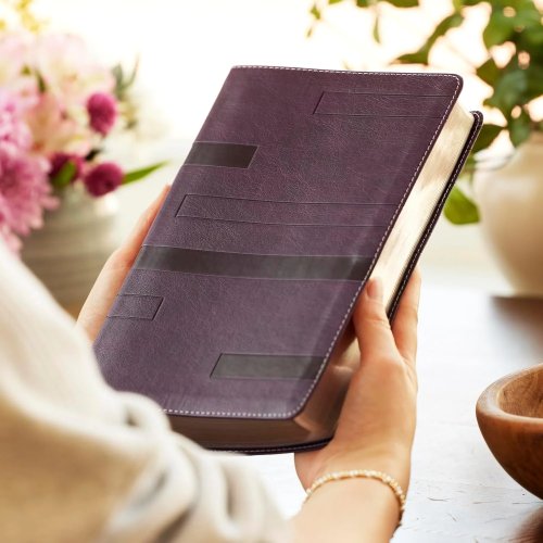 KJV Color Code Study Bible, Revealing God's Truth Color by Color (Purple Leathersoft, Red Letter)