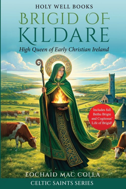 Brigid of Kildare: High Queen of Early Christian Ireland