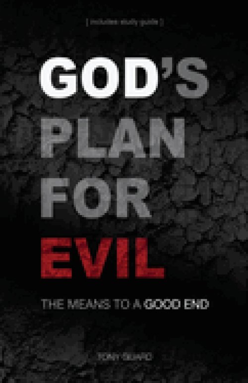 God's Plan for Evil: The means to a good end