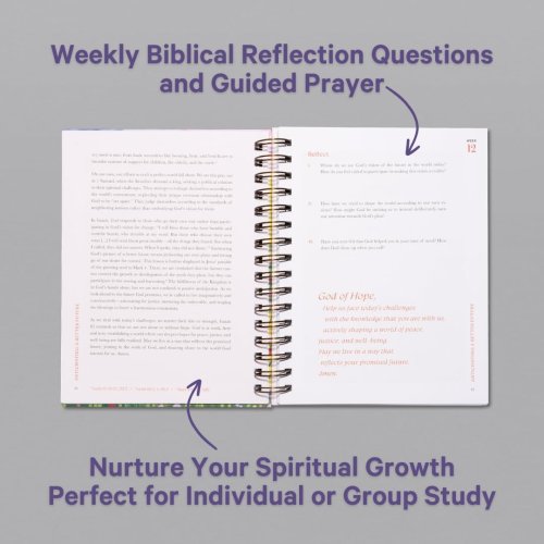 A Beautiful Year In The Bible: The 52-Week Bible Study for Women
