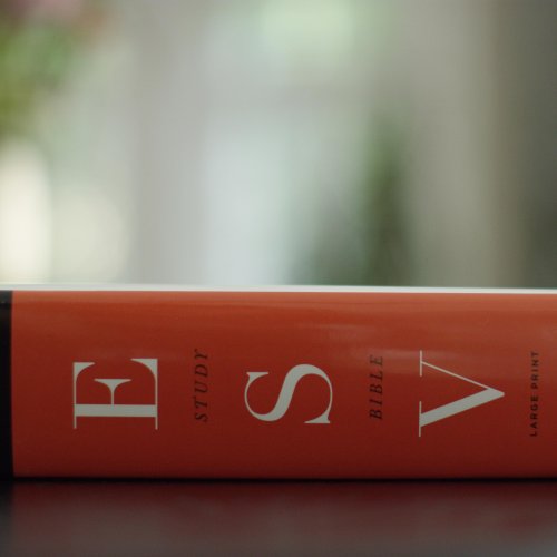 ESV Study Bible, Large Print, Thumb Indexed (Hardcover)