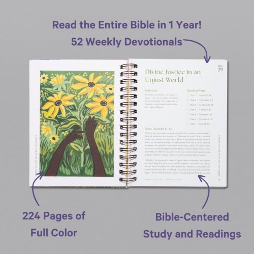 A Beautiful Year In The Bible: The 52-Week Bible Study for Women