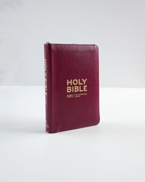 NIV Pocket Mulberry Bible with Gold Zip