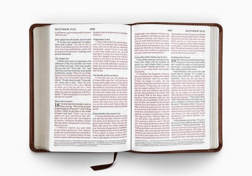 ESV Large Print Compact Bible, Red Letter (TruTone, Brown, Mosaic Cross Design)