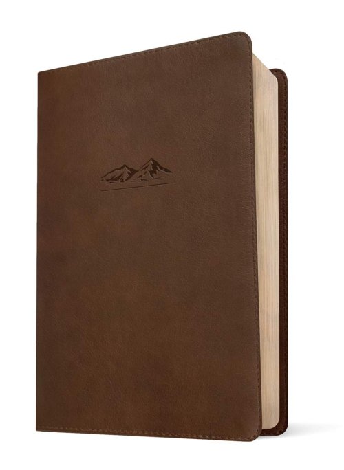 NLT The One Year Bible for Men (LeatherLike, Rustic Brown Mountain)