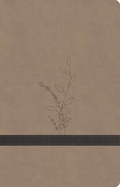 KJV Large Print Personal Size Reference Bible, Earthen Suede