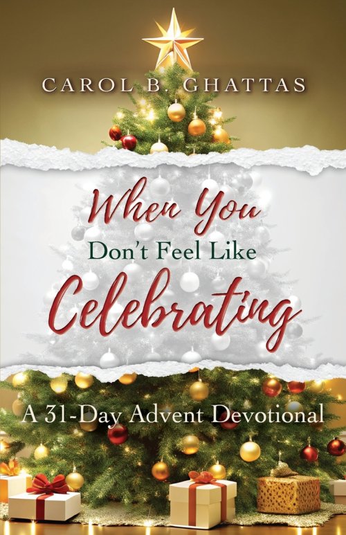 When You Don't Feel Like Celebrating: A 31-Day Advent Devotional