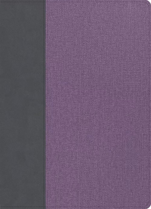 CSB Study Bible, Large Print, Gray/Lavender