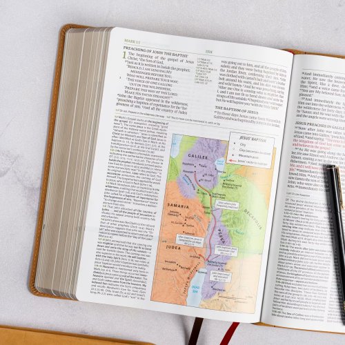 NASB Study Bible, Camel Suedesoft Leathertouch