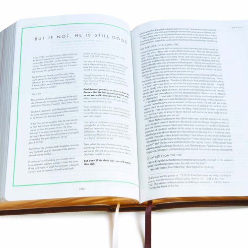 CSB She Reads Truth Bible, Brown Genuine Leather