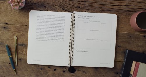 The Stories of Women: An 8-Week Bible Study