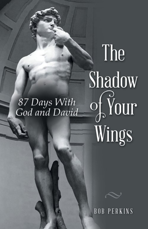 The Shadow of Your Wings: 87 Days With God and David