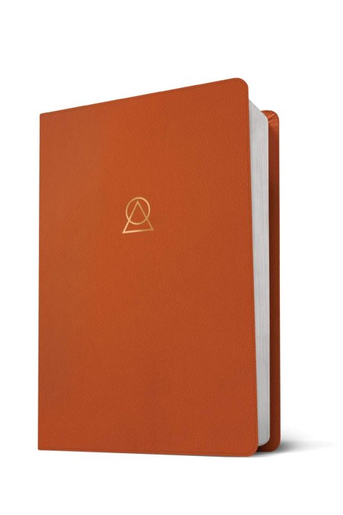 Message Women's Devotional Bible (Leather-Look, Terracotta)