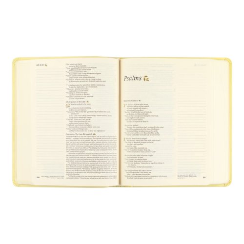 NLT Notetaking Bible: Belfast Theme