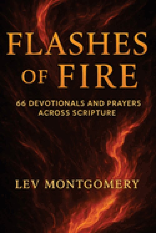 Flashes of Fire: 66 Devotionals and Prayers Across Scripture