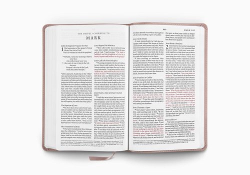 ESV Premium Church Bible, Large Print, Red Letter (TruTone, Blush Rose)