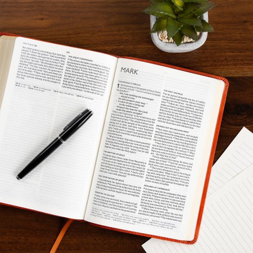 CSB Church Bible, Anglicised Edition, British Tan LeatherTouch