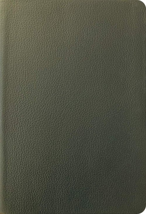 NLT Thinline Reference Bible, Filament Enabled (Genuine Leather, Olive Green, Indexed, Red Letter)