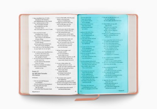 ESV Holy Bible, Dyslexia-Friendly Edition