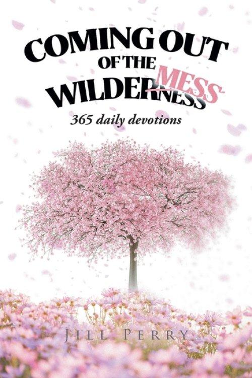 Coming Out of the WilderMess: 365 daily devotions
