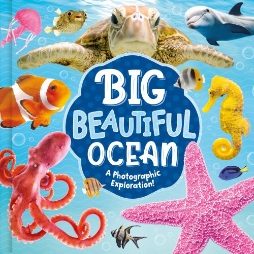 Big Beautiful Ocean