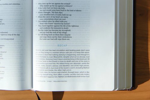 The Bible Recap 365-Day Chronological ESV Study Bible, Brown Imitation Leather