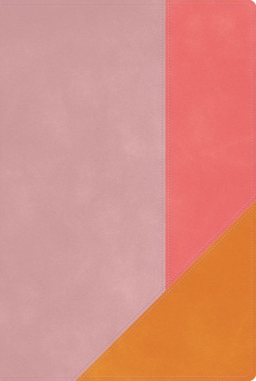 RVR 1960 Biblia De Estudio Arcoíris, Rosa Cuarzo